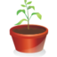 Tiny_plant-icon