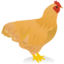 Tiny_poultry-icon